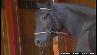 Кончают в анал видео крупно