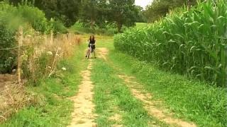 Русское порно анал анус видео